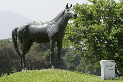El caballo que paralizo al Peru | DANNY SALVADOR TARMEÑO